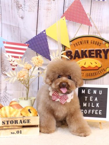 20240923てんくん